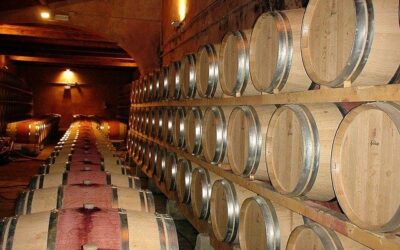 Cinque cantine da scoprire per i vini biologici in Umbria