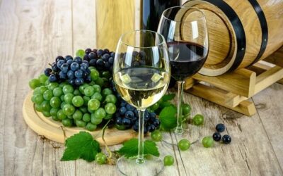 Acquistare vini umbri: come sceglierli al meglio online
